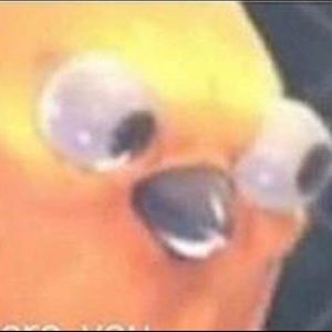 Meet your Posher, Marcos